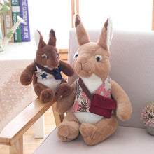 Load image into Gallery viewer, 25-40 Cm Soft Rabbit Stuffed Animal