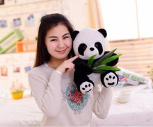 Load image into Gallery viewer, 1Pcs 8 22Cm Eat Bamboo Panda Plush Toys