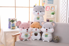 Load image into Gallery viewer, 25 35Cm Kawaii Tea Cat &amp; Mouse Plush Toys