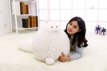Load image into Gallery viewer, 30Cm Simulation Fat Pet Cats Persian Cat Plush Toys