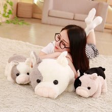 Load image into Gallery viewer, 30-50 Cm Soft Soothing Fragrant Pig Plush Toy