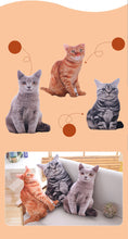 Load image into Gallery viewer, 1Pc 50Cm Lovely Simulation Plush Cat Pillows