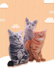 Load image into Gallery viewer, 1Pc 50Cm Lovely Simulation Plush Cat Pillows