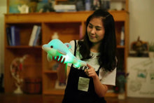 Load image into Gallery viewer, Luminous Plush Dolphin Doll Glowing Led Light - Combo 4  Colors