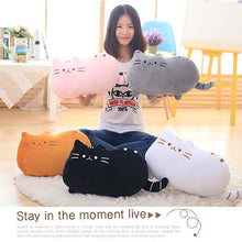 Load image into Gallery viewer, 5 Colors Cute Cat Baby Plush Toy 20 40 Cm Pillow Dolls
