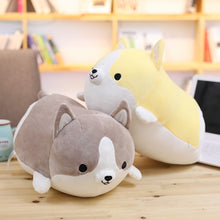Load image into Gallery viewer, 30-50-60 Cm Corgi Dog Plush Toy Plump Body