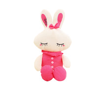 Load image into Gallery viewer, Cute Love Rabbit Doll - Combo 2 Colors 28Cm