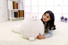 Load image into Gallery viewer, 30Cm Simulation Fat Pet Cats Persian Cat Plush
