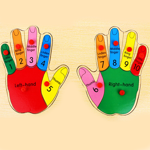 1 Set A Pair Of Hands Or Feet Intelligence Puzzle
