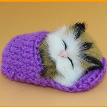 Load image into Gallery viewer, Mini Cute Simulation Sounding Shoe Kittens Cats - Combo 5 Colors