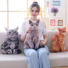 Load image into Gallery viewer, 1Pc 50Cm Lovely Simulation Plush Cat Pillows
