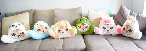 1Pc 40Cm Kawaii Cats Unicorn Dinosaur Pig Stuffed Plush