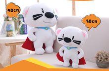 Load image into Gallery viewer, 30-50 Cm Soft Bear With Cape Plush Toys