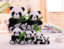 Load image into Gallery viewer, 1Pcs 8 22Cm Eat Bamboo Panda Plush Toys