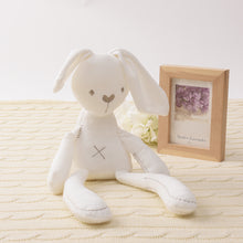 Load image into Gallery viewer, Cute Rabbit Doll Baby Soft Plush Toys