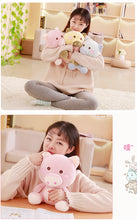 Load image into Gallery viewer, 30Cm Toys Hobbies Stuffed Animals Plush Lovely Piggy - Combo 3 Pcs