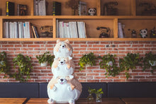 Load image into Gallery viewer, 20-30-50 Cm Corgi Dog Plush Toy Plump Body Corgi Stuffed