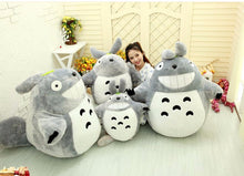 Load image into Gallery viewer, 1Pcs 25Cm Totoro Cartoonpelucia Kawaii