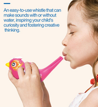 Load image into Gallery viewer, 12Pcs Lot Wholesale Baby Toys Creative Painting Bird