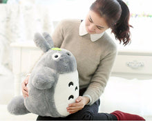Load image into Gallery viewer, 23 60Cm Selling Item Totoro Cartoon Movies Plush Toys