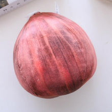 Load image into Gallery viewer, Vegetables Stuffed Toys - Combo Onion/ Patato/ Broccoli/ Mushroom