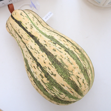 Load image into Gallery viewer, Vegetables Stuffed Toys - Combo Cantaloupe/ Cabbage/ Corn