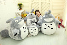 Load image into Gallery viewer, 25Cm Totoro Cartoonpelucia Kawaii Totoro