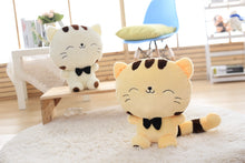 Load image into Gallery viewer, 45Cm Cute Big Face Smiling Cat