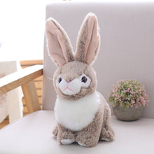 Load image into Gallery viewer, 25 Cm Beanie Boo Eyes Stuffed