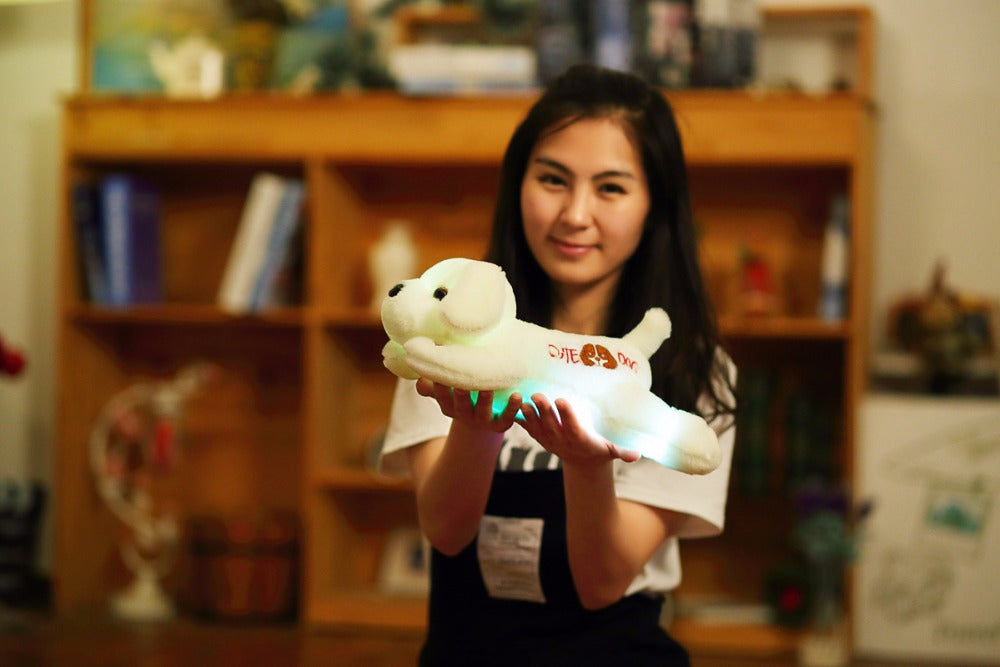 Colorful Glowing Led Light Plush Dog - Combo 4Different Colors - 35 Cm