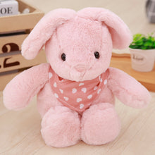 Load image into Gallery viewer, 1Pc 50Cm Baby Appease Lovely Scarf Lop Ears Rabbit Plush Toy