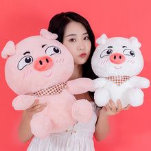 Load image into Gallery viewer, 23-30-40 Cm Soft Pink Funny Pig Plush Toy
