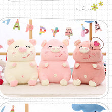 Load image into Gallery viewer, 30 40Cm Smile Pig Plush Toy Animals