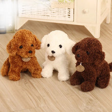 Load image into Gallery viewer, Simulation Teddy Dog Poodle Plush Toys 25 Cm - Combo 2 - Chocolate/Dark Brown Colors