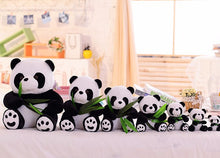 Load image into Gallery viewer, 1Pcs 8 22Cm Eat Bamboo Panda Plush Toys