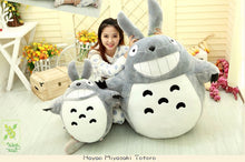 Load image into Gallery viewer, 1Pcs 25Cm Totoro Cartoonpelucia Kawaii