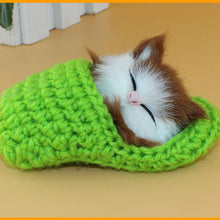 Load image into Gallery viewer, Mini Cute Simulation Sounding Shoe Kittens Cats - Combo 5 Colors