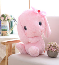 Load image into Gallery viewer, Combo 2 Kinds Cute Rabbit Plush Toy 20 Cm - Pink And Grey