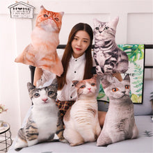 Load image into Gallery viewer, 1Pc Simulation Cats Animal Stuffed Super Soft Pillow Sofa Back
