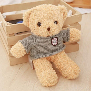 Kawaii Teddy Bear Plush Toy - Combo 2 Pcs