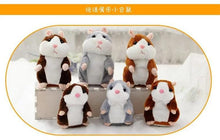 Load image into Gallery viewer, Dropshipping Promotion 15Cm Lovely Talking Hamster