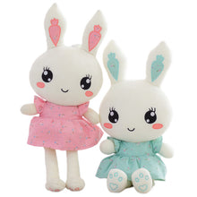 Load image into Gallery viewer, Wearing Dress Rabbit Plush Toys