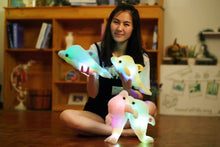 Load image into Gallery viewer, Luminous Plush Dolphin Doll Glowing Led Light - Combo 4  Colors