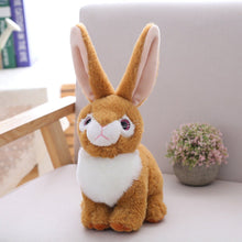 Load image into Gallery viewer, 25 Cm Beanie Boo Eyes Stuffed